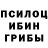 Галлюциногенные грибы Psilocybe Mike Bakh