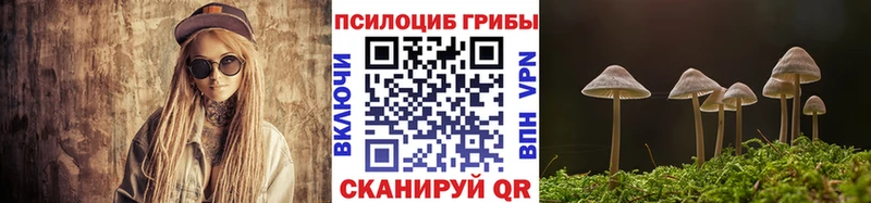 Галлюциногенные грибы Psilocybe  наркотики  Юрьевец 