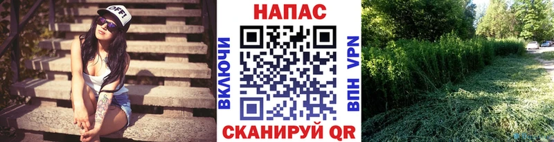 где купить   Юрьевец  Конопля LSD WEED 